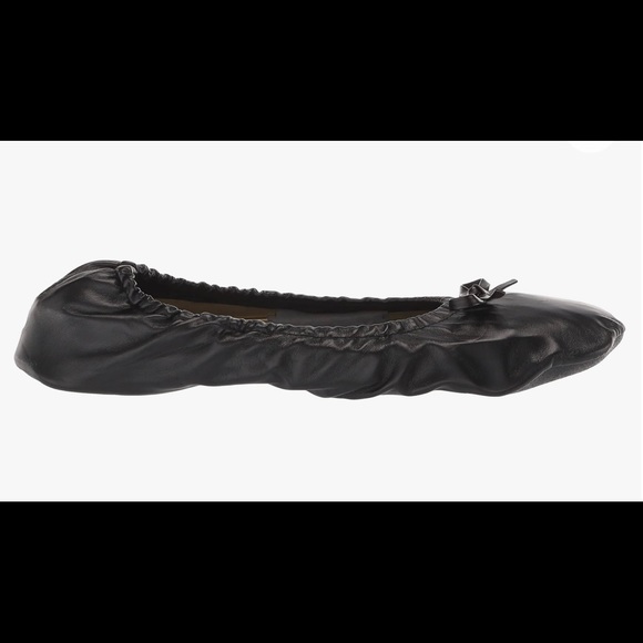 Women's Foldable Portable Travel Ballet Flat Shoes w/Matching Carrying Case - Picture 7 of 7